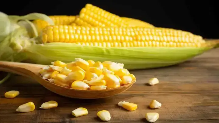 Giải Mã Giấc Mơ Thấy Mua Bắp Ngô: Điềm Báo Gì Và Đánh Con Số Nào?