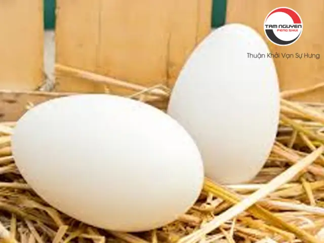 Giải Mã Giấc Mơ Thấy Ngỗng Trắng: Ý Nghĩa Điềm Báo Và Con Số May Mắn Giải Mã Giấc Mơ Thấy Ngỗng Trắng: Ý Nghĩa Điềm Báo Và Con Số May Mắn