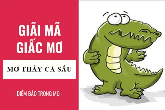 Giải Mã Nằm Mơ Thấy Nhiều Cá Sấu: Ý Nghĩa, Điềm Báo Và Con Số May Mắn Giải Mã Nằm Mơ Thấy Nhiều Cá Sấu: Ý Nghĩa, Điềm Báo Và Con Số May Mắn