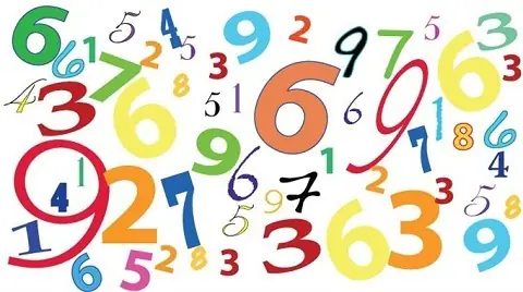Giải Mã Giấc Mơ Thấy Nhiều Con Sò: Điềm Báo Gì Và Đánh Đề Con Số Nào?