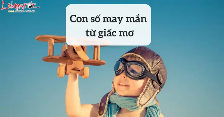 Giải Mã Giấc Mơ Thấy Nhiều Con Sò: Điềm Báo Gì Và Đánh Đề Con Số Nào?