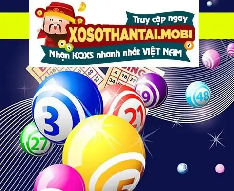 Giải Mã Giấc Mơ Thấy Nhiều Con Sò: Điềm Báo Gì Và Đánh Đề Con Số Nào?
