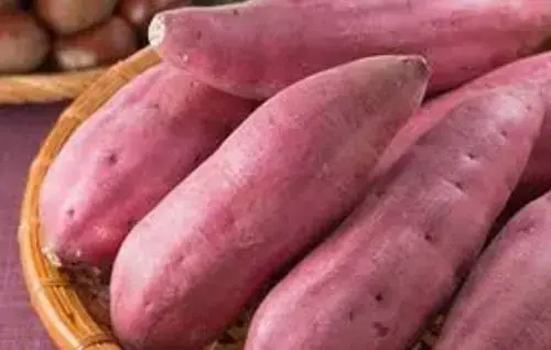 Giải Mã Ý Nghĩa Khi Nằm Mơ Thấy Nhiều Củ Khoai Lang – Tâm Linh, Tài Lộc Và Lời Khuyên Giải Mã Ý Nghĩa Khi Nằm Mơ Thấy Nhiều Củ Khoai Lang – Tâm Linh, Tài Lộc Và Lời Khuyên