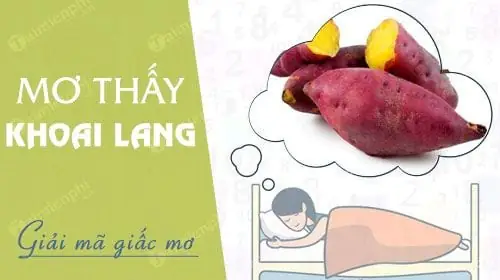 Giải Mã Ý Nghĩa Khi Nằm Mơ Thấy Nhiều Củ Khoai Lang – Tâm Linh, Tài Lộc Và Lời Khuyên Giải Mã Ý Nghĩa Khi Nằm Mơ Thấy Nhiều Củ Khoai Lang – Tâm Linh, Tài Lộc Và Lời Khuyên