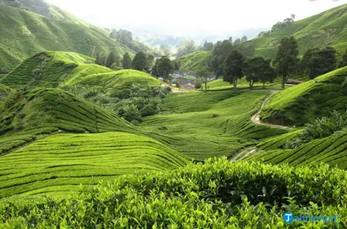 Giải Mã Giấc Mơ Thấy Núi: Ý Nghĩa, Điềm Báo Và Con Số Lô Đề May Mắn Giải Mã Giấc Mơ Thấy Núi: Ý Nghĩa, Điềm Báo Và Con Số Lô Đề May Mắn