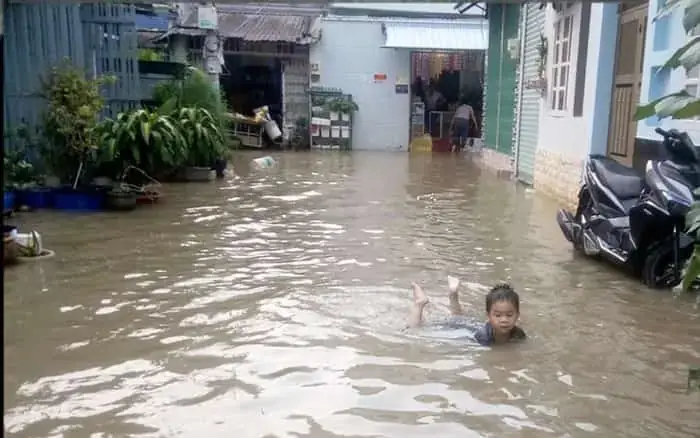 Nằm Mơ Thấy Nước Ngập Đường: Ý Nghĩa, Điềm Lành Hay Dữ Và Cách Giải Mã Nằm Mơ Thấy Nước Ngập Đường: Ý Nghĩa, Điềm Lành Hay Dữ Và Cách Giải Mã