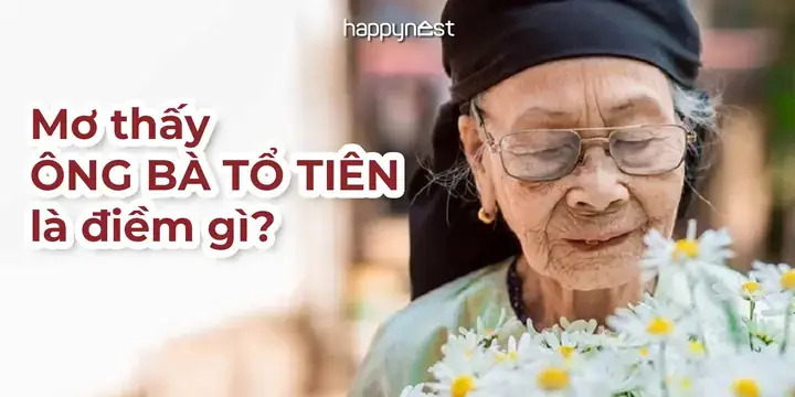 Giải Mã Giấc Mơ Thấy Ông Bà Ngoại: Ý Nghĩa, Điềm Báo Và Thông Điệp Tâm Linh Giải Mã Giấc Mơ Thấy Ông Bà Ngoại: Ý Nghĩa, Điềm Báo Và Thông Điệp Tâm Linh