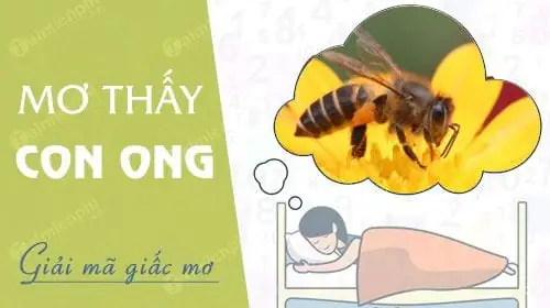 Nằm Mơ Thấy Ong Đánh Con Gì? Giải Đáp Chi Tiết Các Con Số May Mắn Và Ý Nghĩa