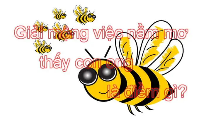 Giải Mã Điềm Báo Giấc Mơ Nằm Mơ Thấy Ong Vàng Đốt Và Con Số Đề Cho Bạn Giải Mã Điềm Báo Giấc Mơ Nằm Mơ Thấy Ong Vàng Đốt Và Con Số Đề Cho Bạn