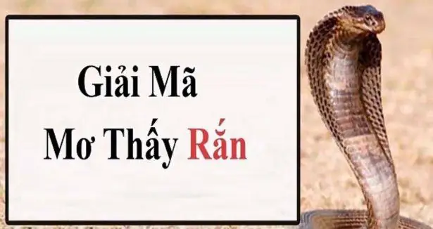 Giải Mã Giấc Mơ Thấy Rắn Cắn Người Thân: Ý Nghĩa, Dự Báo Và Cách Giải Thích Giải Mã Giấc Mơ Thấy Rắn Cắn Người Thân: Ý Nghĩa, Dự Báo Và Cách Giải Thích