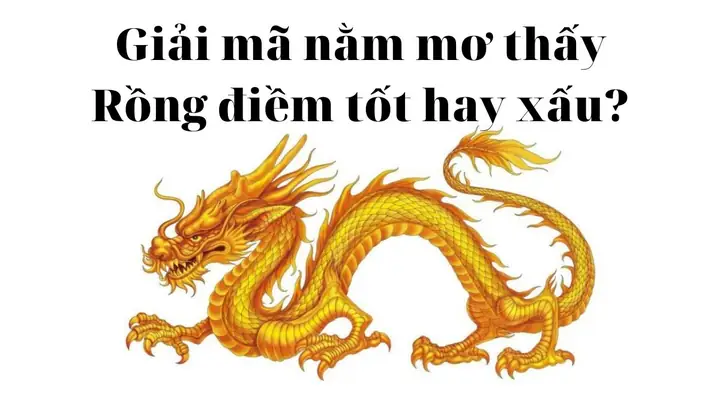 Nằm Mơ Thấy Rồng: Điềm Gì? Giải Mã Ý Nghĩa Và Các Trường Hợp Thường Gặp Nằm Mơ Thấy Rồng: Điềm Gì? Giải Mã Ý Nghĩa Và Các Trường Hợp Thường Gặp