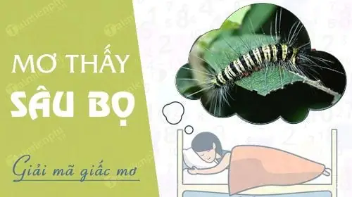 Giải Mã Giấc Mơ Thấy Sâu Bọ Trên Người: Ý Nghĩa, Điềm Báo Và Cách Ứng Phó Giải Mã Giấc Mơ Thấy Sâu Bọ Trên Người: Ý Nghĩa, Điềm Báo Và Cách Ứng Phó