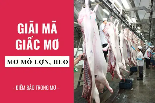 Giải Mã Nằm Mơ Thấy Thịt Lợn: Ý Nghĩa Điềm Báo Và Con Số Đánh Đề Chi Tiết Giải Mã Nằm Mơ Thấy Thịt Lợn: Ý Nghĩa Điềm Báo Và Con Số Đánh Đề Chi Tiết