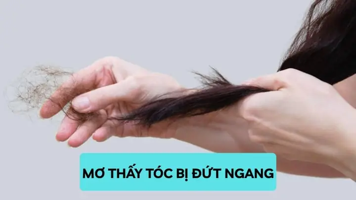 Giải Mã Giấc Mơ Thấy Tóc Bị Cháy: Điềm Báo Và Con Số May Mắn Theo Dân Gian Giải Mã Giấc Mơ Thấy Tóc Bị Cháy: Điềm Báo Và Con Số May Mắn Theo Dân Gian