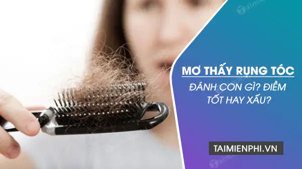 Nằm Mơ Thấy Tóc Đánh Số Gì? Các Con Số May Mắn Cho Từng Loại Giấc Mơ Về Tóc Nằm Mơ Thấy Tóc Đánh Số Gì? Các Con Số May Mắn Cho Từng Loại Giấc Mơ Về Tóc