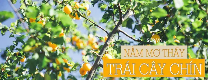 Nằm Mơ Thấy Trái Cây Chín: Ý Nghĩa, Điềm Báo Và Con Số May Mắn