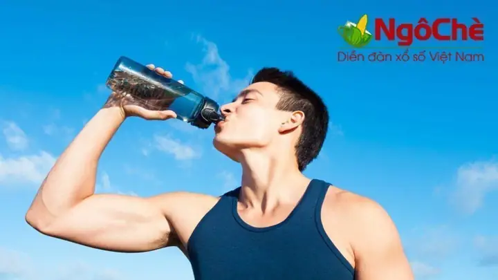 Giải Mã Nằm Mơ Thấy Uống Nước Ngọt: Ý Nghĩa Điềm Báo Và Con Số May Mắn Giải Mã Nằm Mơ Thấy Uống Nước Ngọt: Ý Nghĩa Điềm Báo Và Con Số May Mắn