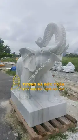 Giải Mã Ý Nghĩa Giấc Mơ Thấy Voi Xám: Điềm Báo & Con Số May Mắn