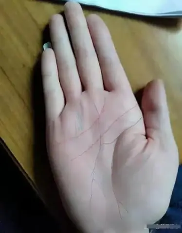 Ngón Trỏ Dài Hơn Ngón Nhẫn Ý Nghĩa Gì? Giải Mã Nhân Tướng, Tính Cách Và Khoa Học Tỷ Lệ 2d:4d Ngón Trỏ Dài Hơn Ngón Nhẫn Ý Nghĩa Gì? Giải Mã Nhân Tướng, Tính Cách Và Khoa Học Tỷ Lệ 2d:4d