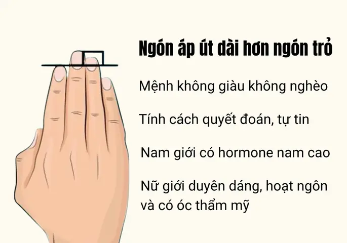 Ngón Trỏ Dài Hơn Ngón Nhẫn Ý Nghĩa Gì? Giải Mã Nhân Tướng, Tính Cách Và Khoa Học Tỷ Lệ 2d:4d Ngón Trỏ Dài Hơn Ngón Nhẫn Ý Nghĩa Gì? Giải Mã Nhân Tướng, Tính Cách Và Khoa Học Tỷ Lệ 2d:4d