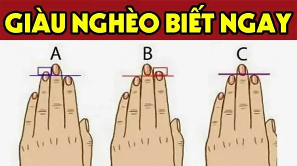 Ngón Trỏ Dài Hơn Ngón Nhẫn Ý Nghĩa Gì? Giải Mã Nhân Tướng, Tính Cách Và Khoa Học Tỷ Lệ 2d:4d Ngón Trỏ Dài Hơn Ngón Nhẫn Ý Nghĩa Gì? Giải Mã Nhân Tướng, Tính Cách Và Khoa Học Tỷ Lệ 2d:4d