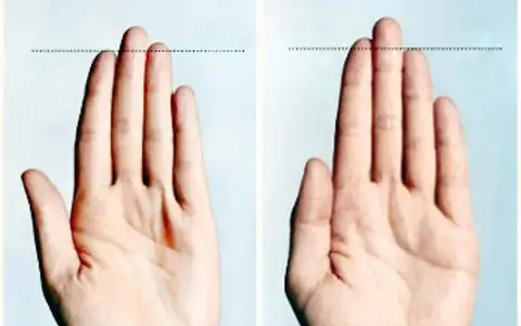 Ngón Trỏ Dài Hơn Ngón Nhẫn Ý Nghĩa Gì? Giải Mã Nhân Tướng, Tính Cách Và Khoa Học Tỷ Lệ 2d:4d Ngón Trỏ Dài Hơn Ngón Nhẫn Ý Nghĩa Gì? Giải Mã Nhân Tướng, Tính Cách Và Khoa Học Tỷ Lệ 2d:4d