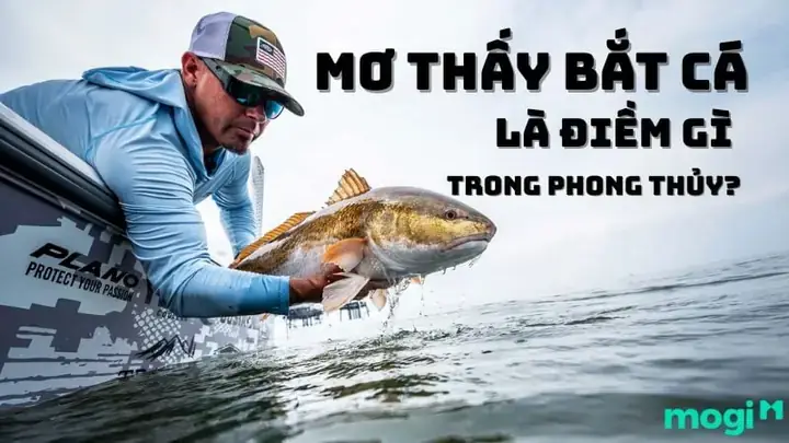 Giải Mã Giấc Mơ Bắt Được 2 Con Cá: Ý Nghĩa, Điềm Báo Và Con Số May Mắn