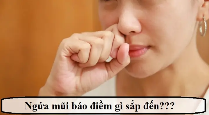 Giải Mã Ngứa Mũi Theo Ngày Giờ Báo Điềm Gì Trong Dân Gian