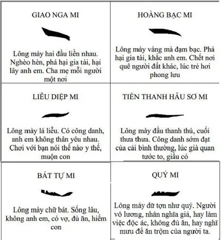 Chân Mày Tướng Là Gì? Giải Mã Ý Nghĩa 12+ Dáng Lông Mày Phong Thuỷ Cho Nam & Nữ Chân Mày Tướng Là Gì? Giải Mã Ý Nghĩa 12+ Dáng Lông Mày Phong Thuỷ Cho Nam & Nữ