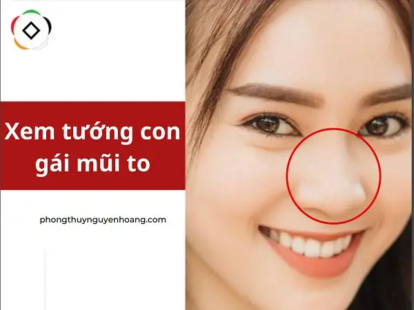 Giải Mã Tướng Mũi To: Tốt Hay Xấu Và Ý Nghĩa Nhân Tướng Học Cho Nam Nữ Giải Mã Tướng Mũi To: Tốt Hay Xấu Và Ý Nghĩa Nhân Tướng Học Cho Nam Nữ