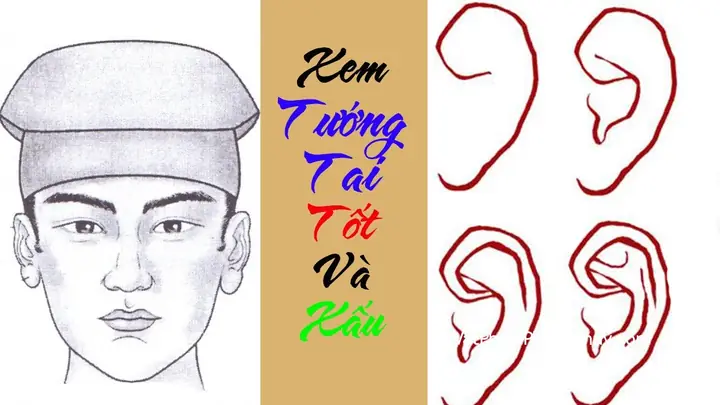 Giải Mã 32 Tướng Tốt & 80 Vẻ Đẹp Của Người Có Tướng Phật: Ý Nghĩa Tướng Mạo, Phúc Lộc Và Dấu Hiệu Tu Tập Giải Mã 32 Tướng Tốt & 80 Vẻ Đẹp Của Người Có Tướng Phật: Ý Nghĩa Tướng Mạo, Phúc Lộc Và Dấu Hiệu Tu Tập