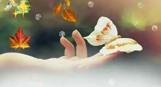 Tổng Hợp Điềm Báo Người Sắp Gặp Xui Xẻo Theo Phong Thủy Dân Gian