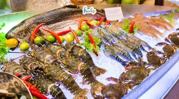 Gợi Ý Các Nhà Hàng Hải Sản Ở Thủ Đức Tươi Ngon Và Giá Bình Dân Cho Thực Khách Địa Phương