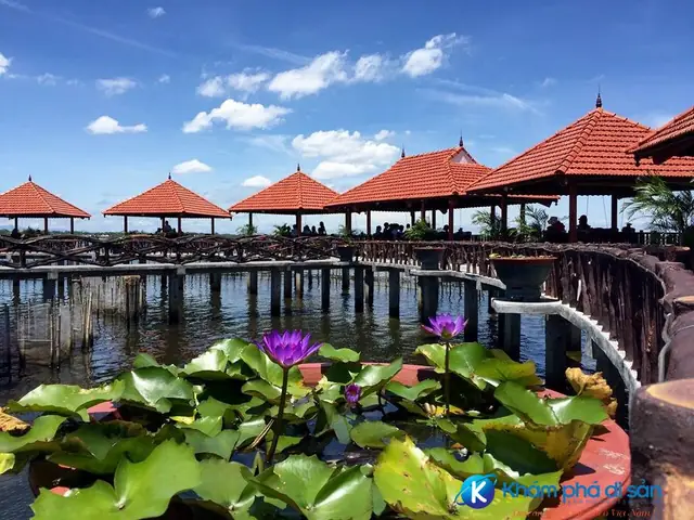 Tổng Hợp Nhà Hàng Ở Phá Tam Giang: Các Quán Ăn Ngon Tại Đầm Phá Huế Cho Du Khách