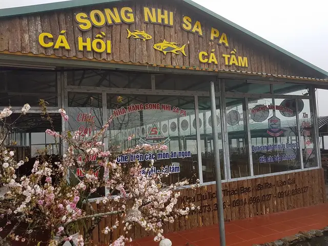 Nhà Hàng Song Nhi Thác Bạc Sapa: Địa Chỉ, Menu Cá Hồi, Giá Cả Và Cách Đặt Chỗ Nhà Hàng Song Nhi Thác Bạc Sapa: Địa Chỉ, Menu Cá Hồi, Giá Cả Và Cách Đặt Chỗ