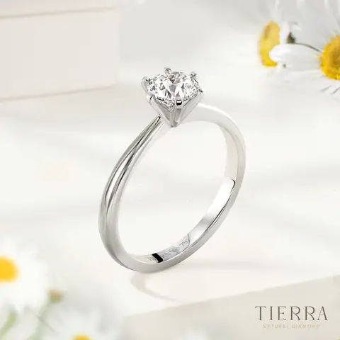 Bảng Giá Nhẫn Bạch Kim Nữ Bao Nhiêu Theo Thiết Kế Và Trọng Lượng? Bảng Giá Nhẫn Bạch Kim Nữ Bao Nhiêu Theo Thiết Kế Và Trọng Lượng?