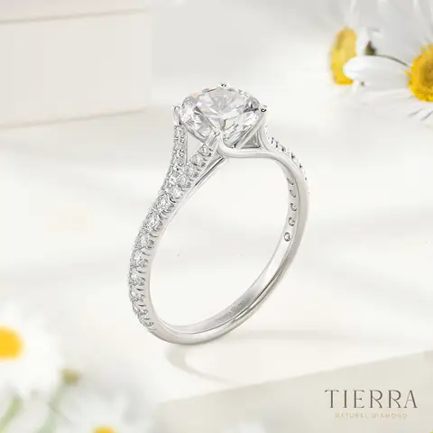 Bảng Giá Nhẫn Bạch Kim Nữ Bao Nhiêu Theo Thiết Kế Và Trọng Lượng? Bảng Giá Nhẫn Bạch Kim Nữ Bao Nhiêu Theo Thiết Kế Và Trọng Lượng?