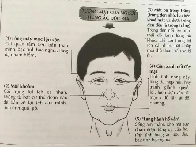 Nhân Tướng Học Có Đúng Không: Giải Đáp Thực Hư Và Cách Tiếp Cận Đúng Nhân Tướng Học Có Đúng Không: Giải Đáp Thực Hư Và Cách Tiếp Cận Đúng