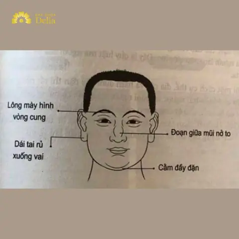 Cách Nhìn Khuôn Mặt Đoán Tướng Số Và Vận Mệnh Theo Nhân Tướng Học