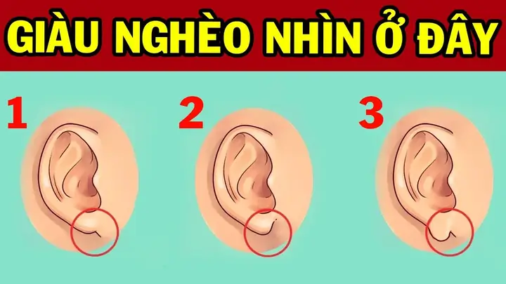 Nhận Diện Dấu Hiệu Nhìn Tướng Mặt Biết Giàu Hay Nghèo Qua Các Bộ Vị Trên Khuôn Mặt