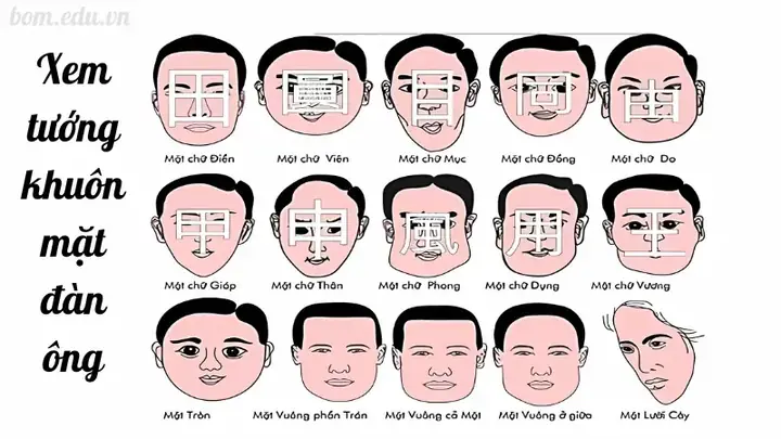 Nhận Diện Dấu Hiệu Nhìn Tướng Mặt Biết Giàu Hay Nghèo Qua Các Bộ Vị Trên Khuôn Mặt