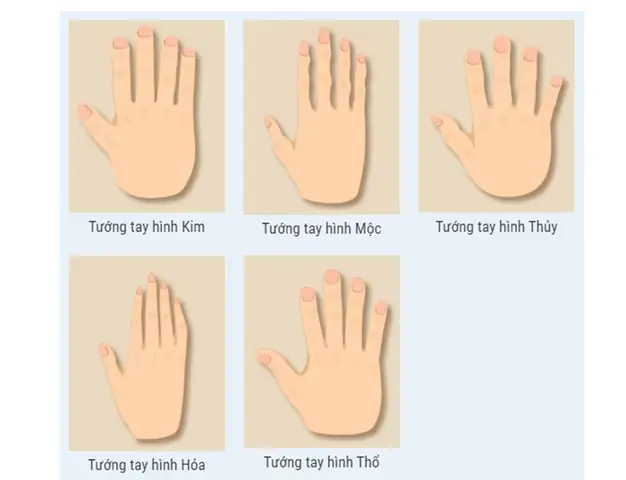 Cách Nhìn Tướng Tay Đoán Khả Năng Vượng Tài: Dấu Hiệu Từ Đường Chỉ Tay Và Lòng Bàn Tay Cách Nhìn Tướng Tay Đoán Khả Năng Vượng Tài: Dấu Hiệu Từ Đường Chỉ Tay Và Lòng Bàn Tay