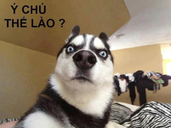 Những Hình Ảnh Bá Đạo Trên Facebook: Bộ Sưu Tập Cực “bá” + Mẹo Dùng Để “tăng Tương Tác” Cho Fanpage Và Cá Nhân Những Hình Ảnh Bá Đạo Trên Facebook: Bộ Sưu Tập Cực “bá” + Mẹo Dùng Để “tăng Tương Tác” Cho Fanpage Và Cá Nhân