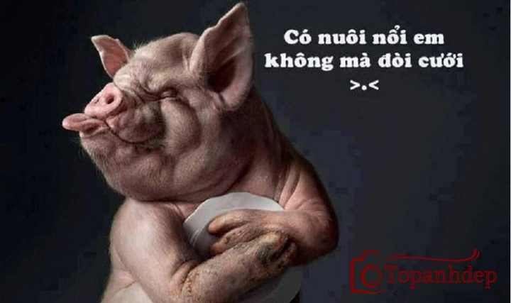 Những Hình Ảnh Bá Đạo Trên Facebook: Bộ Sưu Tập Cực “bá” + Mẹo Dùng Để “tăng Tương Tác” Cho Fanpage Và Cá Nhân Những Hình Ảnh Bá Đạo Trên Facebook: Bộ Sưu Tập Cực “bá” + Mẹo Dùng Để “tăng Tương Tác” Cho Fanpage Và Cá Nhân