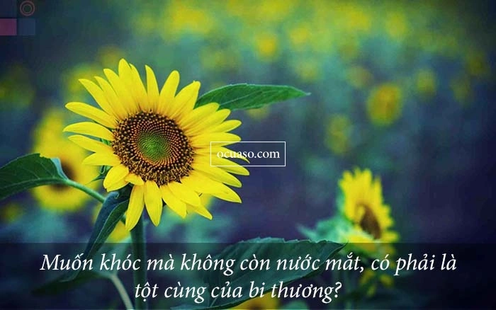 99+ Hình Ảnh Buồn Chán Về Cuộc Sống Được Tải Ngay – Dành Cho Người Tìm Cảm Xúc Đồng Cảm & Thư Giãn Tâm Hồn