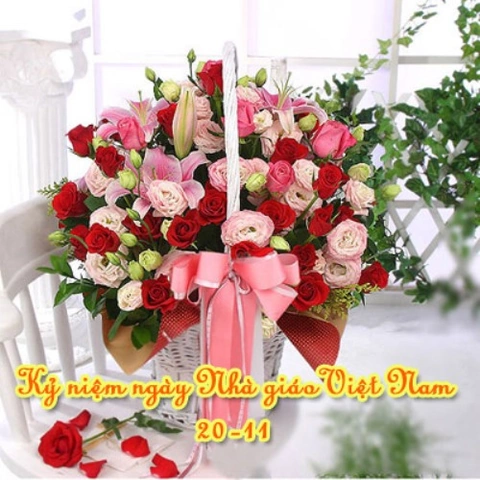 199+ Hình Ảnh Chúc Mừng Ngày Nhà Giáo Việt Nam 20/11 Đẹp, Ý Nghĩa & Tải Miễn Phí Cho Mọi Nhu Cầu