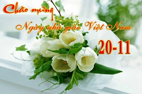 199+ Hình Ảnh Chúc Mừng Ngày Nhà Giáo Việt Nam 20/11 Đẹp, Ý Nghĩa & Tải Miễn Phí Cho Mọi Nhu Cầu