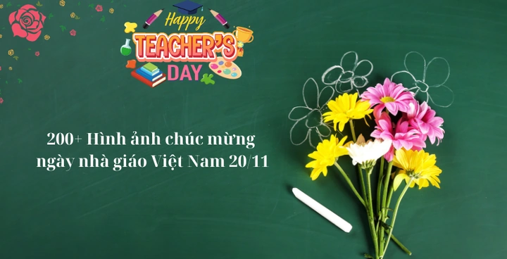 199+ Hình Ảnh Chúc Mừng Ngày Nhà Giáo Việt Nam 20/11 Đẹp, Ý Nghĩa & Tải Miễn Phí Cho Mọi Nhu Cầu