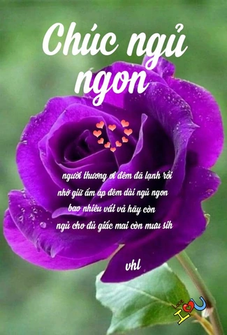 30+ Hình Ảnh Chúc Người Yêu Ngủ Ngon: Bộ Sưu Tập Lãng Mạn, Dễ Thương & Độc Độc Dành Cho Các Cặp Đôi 30+ Hình Ảnh Chúc Người Yêu Ngủ Ngon: Bộ Sưu Tập Lãng Mạn, Dễ Thương & Độc Độc Dành Cho Các Cặp Đôi