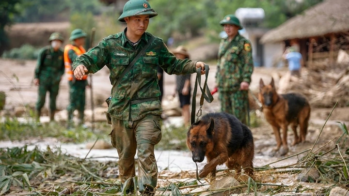 Những Hình Ảnh Đẹp Về Bộ Đội: Bộ Sưu Tập Chất Lượng Cao, Ý Nghĩa Và Cách Tải Về Miễn Phí Cho Mọi Đối Tượng Những Hình Ảnh Đẹp Về Bộ Đội: Bộ Sưu Tập Chất Lượng Cao, Ý Nghĩa Và Cách Tải Về Miễn Phí Cho Mọi Đối Tượng